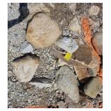 ASSTD LANDSCAPING ROCKS (SECTION 1)