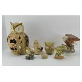 OWLS & OTHER BIRDS