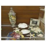 Starfish, Shells, Sand Dollars