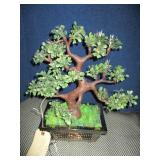 Fiber Optic Lighted Bonsai Tree
