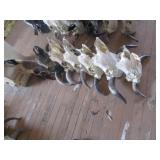 7) Cow Skulls, 2) w/ Artwork