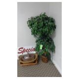 Artificial Plant, Wicker Baskets