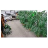 Artificial Plants