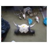 Deer & Cow Skulls w/ Horns