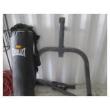 Everlast Punching Bag & Mount