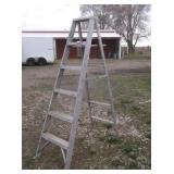 6 Foot Aluminum Ladder