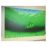 Turtle Canvas Print