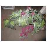 Planter Pots with Decor