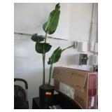 Artificial Plant
