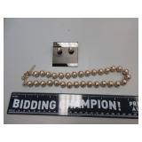 Matching Necklace and Earring Set