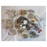 Polished and Unusual Stones, Petrified Wood