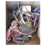 Horse Tack: Halters, Cinch, Bridle