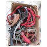 Horse Tack: Bridles, Bits, Halters