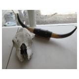 Decorative Horns, Skull