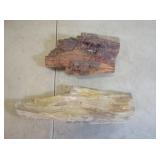 2) Large Pieces of Petrified Wood