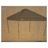 10'x10' Instant Canopy