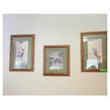 Framed Elk and Deer Prints