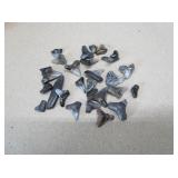 Shark Teeth