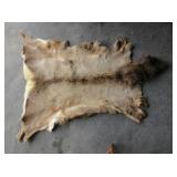 Animal Hide