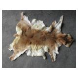 Animal Hide