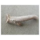 Antler Piece