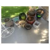 Collection of Flower Pots