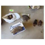 Various Bird Feathers