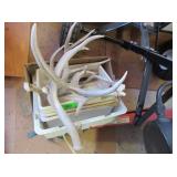 Different Sized Antlers, Plastic Tubs,