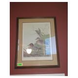 "Green-Winged Teal" Signed Framed Print by