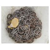 Chains with Circle Clips