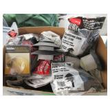 Flood Light and Path Lights