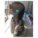 Nike Golf Bag