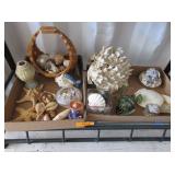 Sea Shells, Star Fish, Basket, Vase