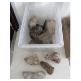 Petrified Wood, Rocks