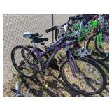 2) Schwinn Ladies Mountain Bikes