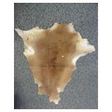 Animal Hide