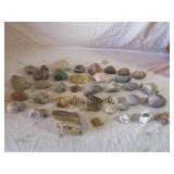 Petrified Wood Piece, Rock Collection