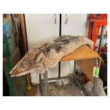 Coyote Pelt