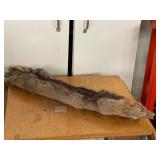 Animal Pelt