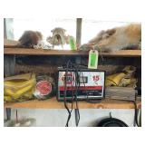 Battery Charger, Mask, Inverter