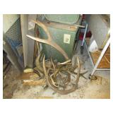 Various Loose Antlers