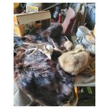 2) Furs, Horns, Antlers