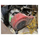 Briggs & Stratton Engine