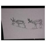 Edson Fichter Antelope Print