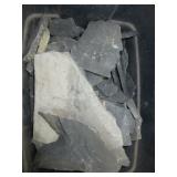 Over 100 Trilobites Fossils From Utah