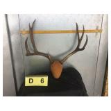 4x4 Mule Deer Buck on Plaque 4x4 Mule Deer Buck on Plaque