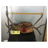 4x3 Mule Deer Buck on Plaque 4x3 Mule Deer Buck on Plaque