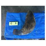 Beaver Whole (Frozen) Beaver Whole (Frozen)