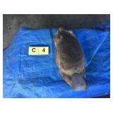 Beaver Whole (Frozen) Beaver Whole (Frozen)