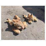 2 Lions, Skulls & Paws 2 Lions, Skulls & Paws